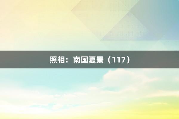 照相：南国夏景（117）